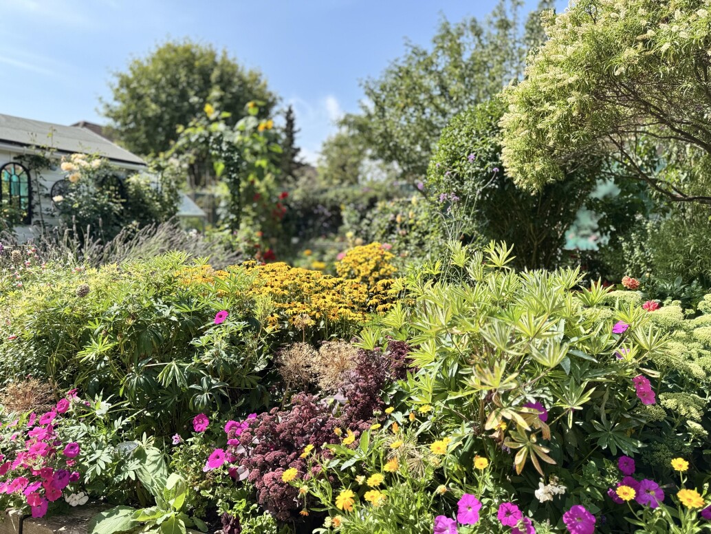 A beautiful garden full of colourful blooms